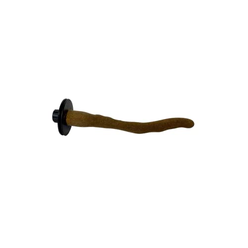 Orthopedic Sandwalk Small Tan