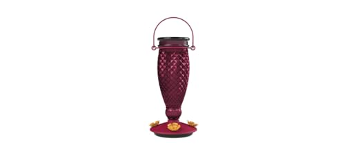 Perky-Pet Diamond Wine Top Fill Glass Hummingbird Feeder, 24 oz Capacity | Built-in Bee Guards for Outdoors, Purple Hanging Wild Bird Feeder, Easy to Clean