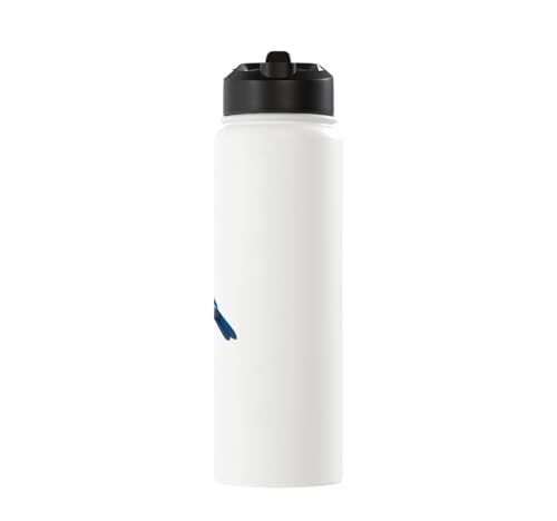 Bird Series. Mountain Bluebird. Stainless Steel Insulated Water Bottle - color: White