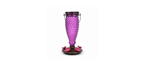 Perky-Pet Diamond Wine Top Fill Glass Hummingbird Feeder, 24 oz Capacity | Built-in Bee Guards for Outdoors, Purple Hanging Wild Bird Feeder, Easy to Clean