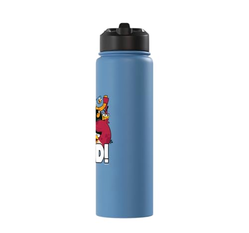 Angry Birds Group Bird is the Word Stainless Steel Insulated Water Bottle - color: Light Blue