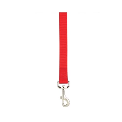 Zack & Zoey Basic Nylon Dog Leash, 6-Feet x 1-Inch Lead, Tomato Red - color: Tomato Red, size: 6-Feet x 1-Inch Lead