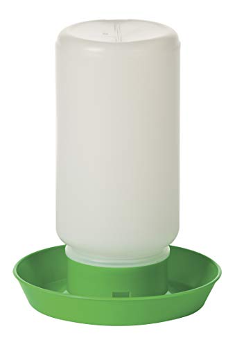 Little Giant® Screw-On Poultry Waterer Base | Heavy Duty Plastic Water Tray for Container | Chicken Waterer Screw on Base | 1 Quart (Lime Green, Pack of 1) - size: Pack of 1