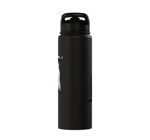 Penguin Stainless Steel Insulated Water Bottle - color: Black