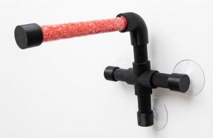 CleanPerch™ Window Bird Perch with Suction Cups. Grooming & Outside Viewing Perch for Parrots, Conures & Small Birds. Window-Mounted Bird Stand (Black/Pink, 6") - color: Black/Pink, size: 6"
