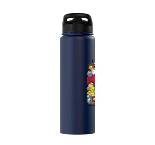 Angry Birds Piggy & Bird Pile Stainless Steel Insulated Water Bottle - color: Navy Blue