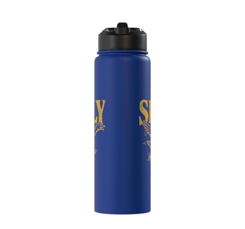 Funny Silly Goose Visual Pun Vintage Bird Lover Retro Design Stainless Steel Insulated Water Bottle - color: Royal Blue