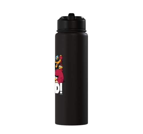 Angry Birds Group Bird is the Word Stainless Steel Insulated Water Bottle - color: Black