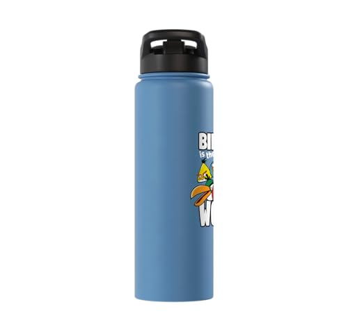 Angry Birds Group Bird is the Word Stainless Steel Insulated Water Bottle - color: Light Blue