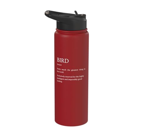 Bird Definition - Funny Sarcastic Bird Explanation Stainless Steel Insulated Water Bottle - color: Red
