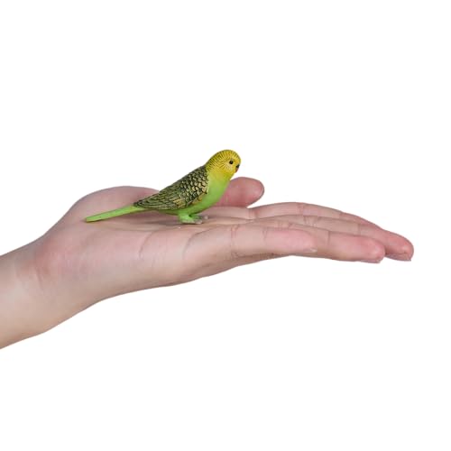 MOJO – Budgerigar (Australian Parakeet) Green | Hand-Painted Toy Figure | Farmland Pet Bird Collection | True to Life & Highly Detailed | Designed in UK