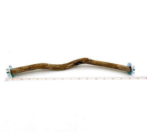 Polly's Full Length Hardwood Cage Perch for Parakeets, Cockatiels, Cockatoos, Macaws, and Other Birds (14") - size: 14"
