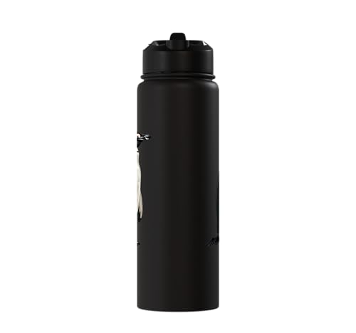 Penguin Stainless Steel Insulated Water Bottle - color: Black