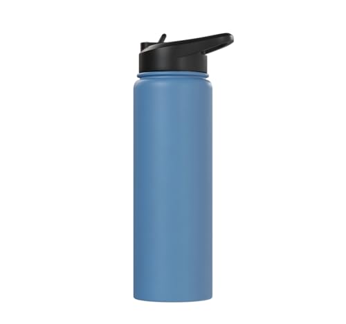 Bird Definition - Funny Sarcastic Bird Explanation Stainless Steel Insulated Water Bottle - color: Light Blue