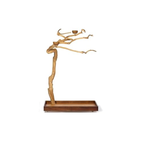 HomeStock Asian Fusion CoffeeWood Tree-Style Parrot Play Stand with Natural Design, Durable Perches, Feeding Bowls, and Spacious Activity Area for Birds Medium - size: Medium