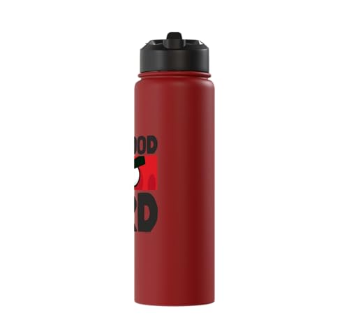 Angry Birds Red Bad Mood Bird Stainless Steel Insulated Water Bottle - color: Red