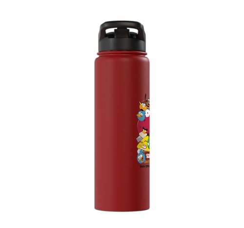 Angry Birds Piggy & Bird Pile Stainless Steel Insulated Water Bottle - color: Red