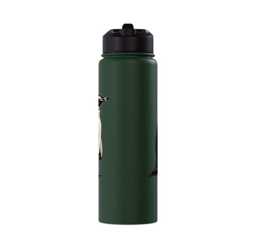 Penguin Stainless Steel Insulated Water Bottle - color: Dark Green