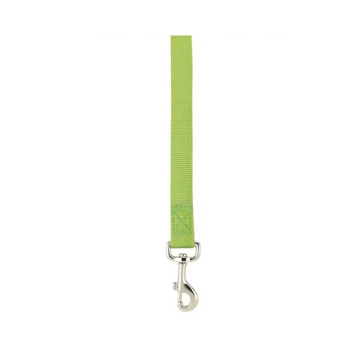 Zack & Zoey Nylon Dog Lead, 6' Long x 1" Wide, Parrot Green - color: Parrot Green, size: 6-Feet x 1-Inch Lead