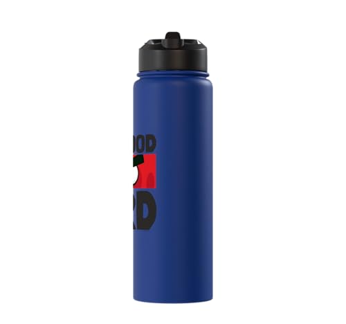 Angry Birds Red Bad Mood Bird Stainless Steel Insulated Water Bottle - color: Royal Blue