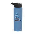 Bird Series. Mountain Bluebird. Stainless Steel Insulated Water Bottle - color: Light Blue