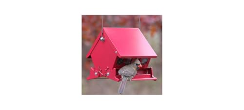 Audubon "Mini" Absolute Squirrel Resistant Bird Feeder Model 7458