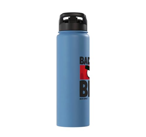 Angry Birds Red Bad Mood Bird Stainless Steel Insulated Water Bottle - color: Light Blue