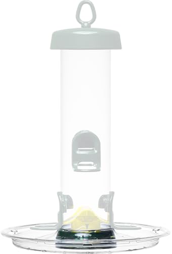 Brome Seed Tray – Compatible ONLY with Tube Solution 100, 150 & 200, Catches Spilled Seed, Reduces Waste, Extra Perching Space, Durable & Easy to Clean