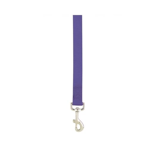 Zack & Zoey Basic Nylon Dog Leash, 6-Feet x 1-Inch Lead, Ultra Violet - color: Ultra Violet, size: 6-Feet x 1-Inch Lead