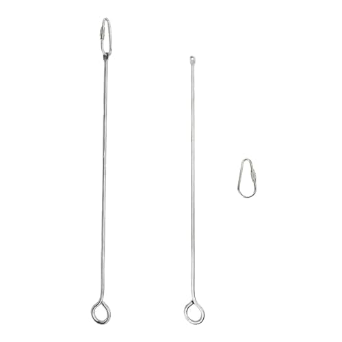 2pcs Hanging Bird Treat Skewer Parrot Fruit Feeder, 10.2 Inch Stainless Steel Bird Fruit Fork Food Holder Foraging Toy for Parrot Parakeet Conure, LXLVOUEG - size: Ring-10.2inches-2P