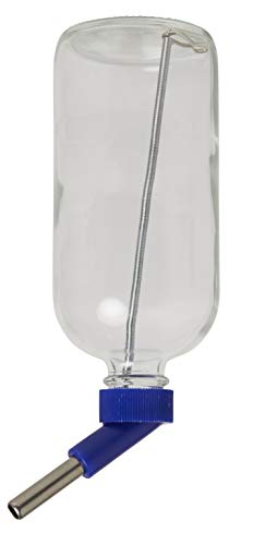 Lixit Glass Water Bottles for Rabbits, Ferrets, Small Birds, Guinea Pigs, Rats, Hamsters and Other Pets (16oz Pack of 2)
