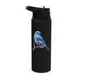 Bird Series. Mountain Bluebird. Stainless Steel Insulated Water Bottle - color: Black