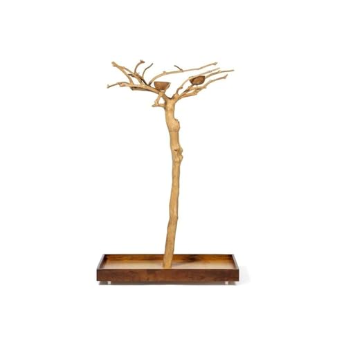HomeStock Asian Fusion CoffeeWood Tree-Style Parrot Play Stand with Natural Design, Durable Perches, Feeding Bowls, and Spacious Activity Area for Birds Small - size: Small