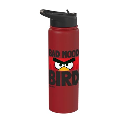 Angry Birds Red Bad Mood Bird Stainless Steel Insulated Water Bottle - color: Red