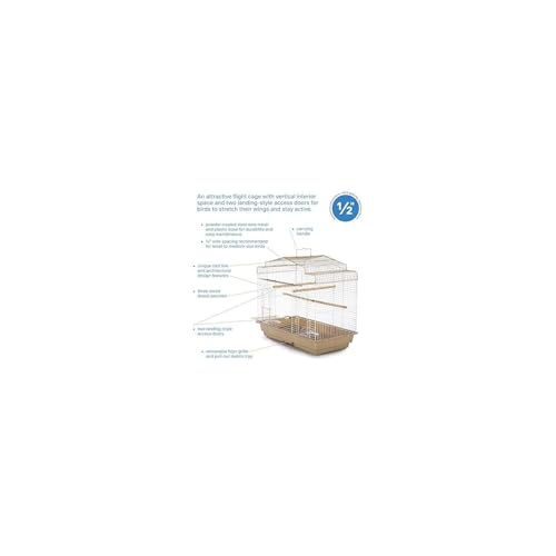 Maykoosh Global Greatness Bird Cage with Spacious Interior, Durable Metal Construction, Elegant Design, and Functional Features for Birds