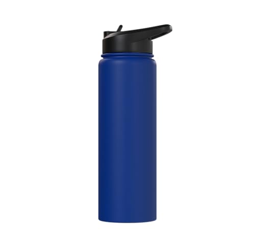 Bird Definition - Funny Sarcastic Bird Explanation Stainless Steel Insulated Water Bottle - color: Royal Blue