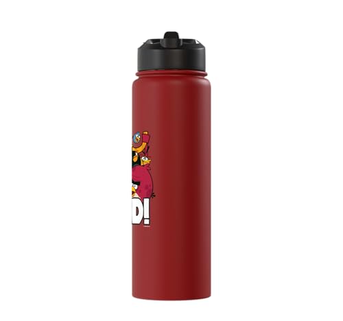Angry Birds Group Bird is the Word Stainless Steel Insulated Water Bottle - color: Red