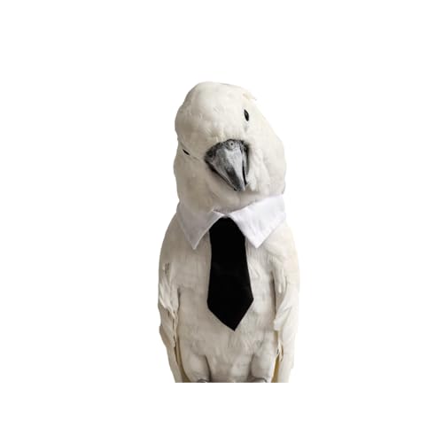 Bird Collar, Bird Clothes, Parrot Bird Supplies, Cute Collar for Medium and Large Birds Eclectus Cockatoo African Grey Amazon Bow Tie Scarf Super Cute Costume Photo Prop for Parrots (Necktie) - style: Necktie