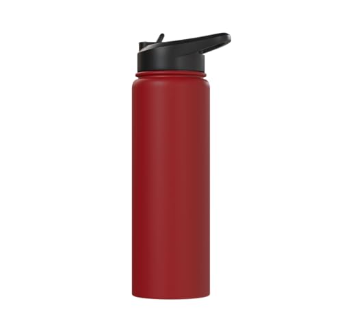 Bird Definition - Funny Sarcastic Bird Explanation Stainless Steel Insulated Water Bottle - color: Red