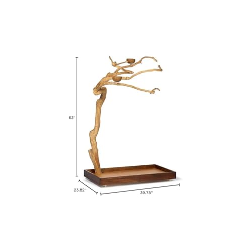 HomeStock Asian Fusion CoffeeWood Tree-Style Parrot Play Stand with Natural Design, Durable Perches, Feeding Bowls, and Spacious Activity Area for Birds Medium - size: Medium