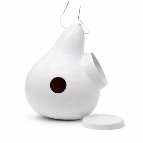 White Purple Martin Gourd Birdhouses – Pack of 10 Colony Nesting Gourds with Side Clean-Out – 12–14″ Tall, 2″ Entrance Hole