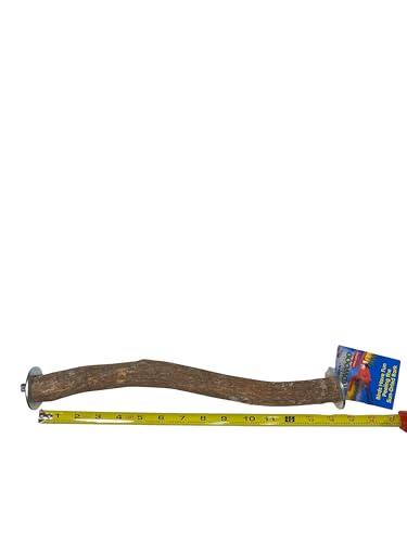 Polly's Full Length Hardwood Cage Perch for Parakeets, Cockatiels, Cockatoos, Macaws, and Other Birds (14") - size: 14"