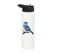 Bird Series. Mountain Bluebird. Stainless Steel Insulated Water Bottle - color: White