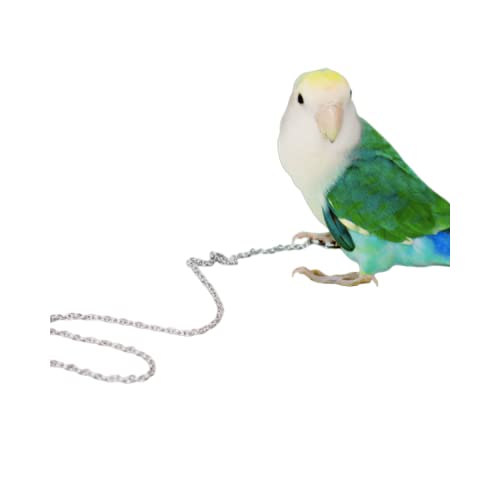 Bird Foot Chain Flying Stainless Steel Training Rope Outdoor Parrot Ankle Foot Ring Accessories Bird Harness Leash Prevent Escaping (6#) - size: 6#