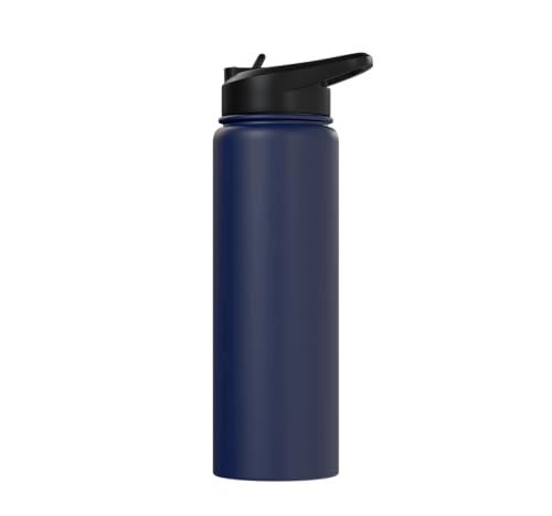 Bird Definition - Funny Sarcastic Bird Explanation Stainless Steel Insulated Water Bottle - color: Navy Blue