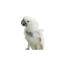 Bird Collar, Bird Clothes, Parrot Bird Supplies, Cute Collar for Medium and Large Birds Eclectus Cockatoo African Grey Amazon Bow Tie Scarf Super Cute Costume Photo Prop for Parrots (Blue Collar) - style: Blue Collar