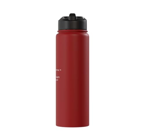 Bird Definition - Funny Sarcastic Bird Explanation Stainless Steel Insulated Water Bottle - color: Red