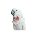 Bird Collar, Bird Clothes, Parrot Bird Supplies, Cute Collar for Medium and Large Birds Eclectus Cockatoo African Grey Amazon Bow Tie Scarf Super Cute Costume Photo Prop for Parrots (Pink Collar) - style: Pink Collar