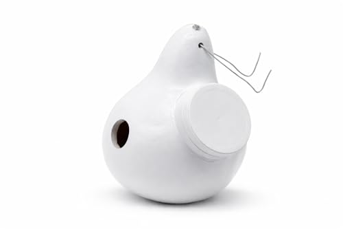 White Purple Martin Gourd Birdhouses – Pack of 10 Colony Nesting Gourds with Side Clean-Out – 12–14″ Tall, 2″ Entrance Hole