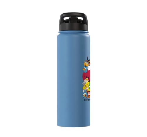 Angry Birds Piggy & Bird Pile Stainless Steel Insulated Water Bottle - color: Light Blue